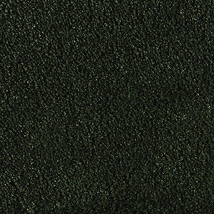 Epoca Gloss  bottle green