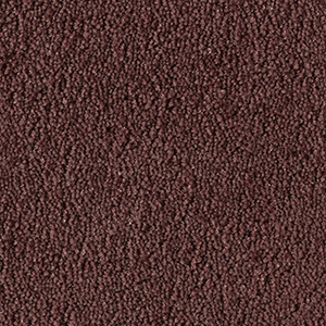 Epoca Gloss  dark rose