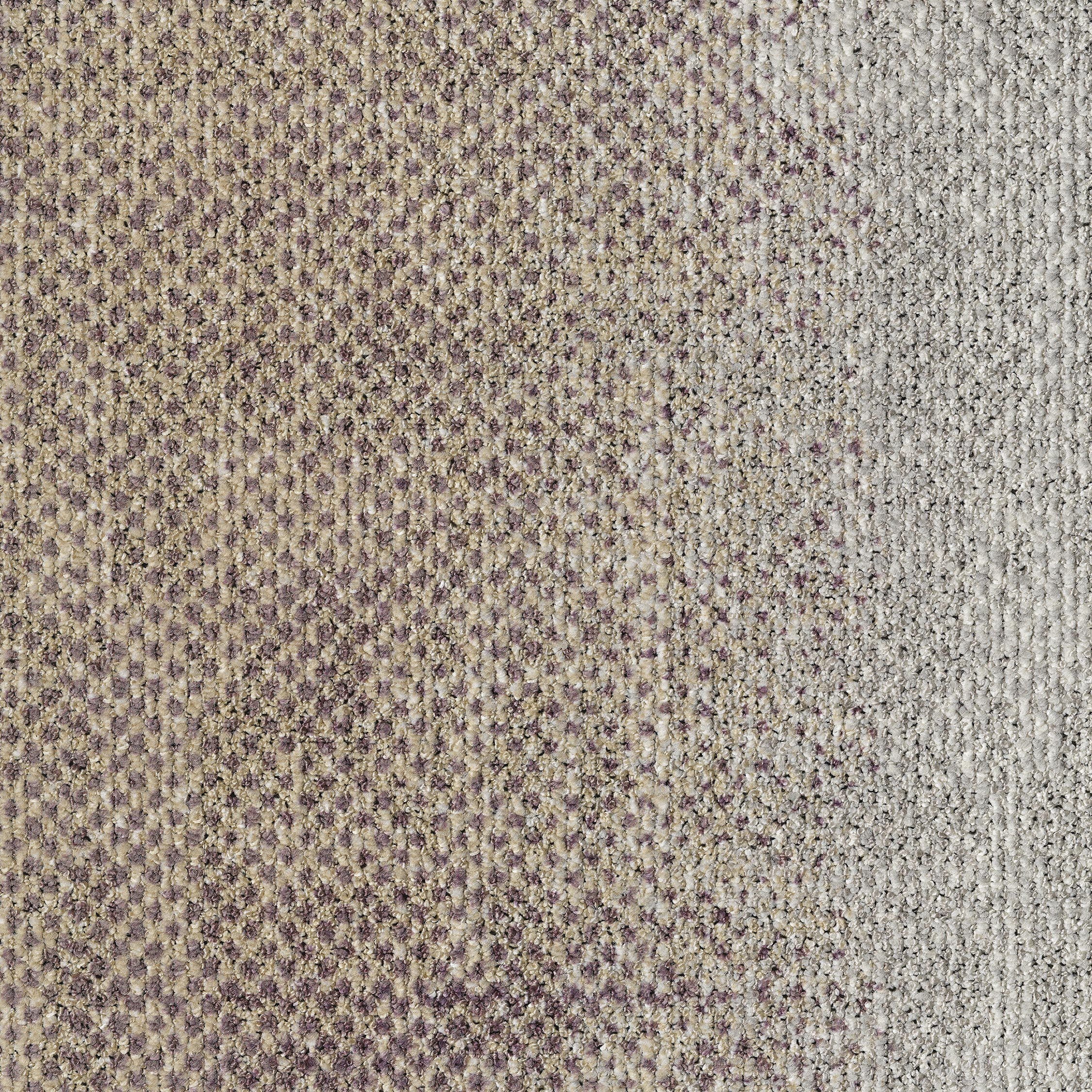 ReForm Transition Mix Seed rose/light grey 5500