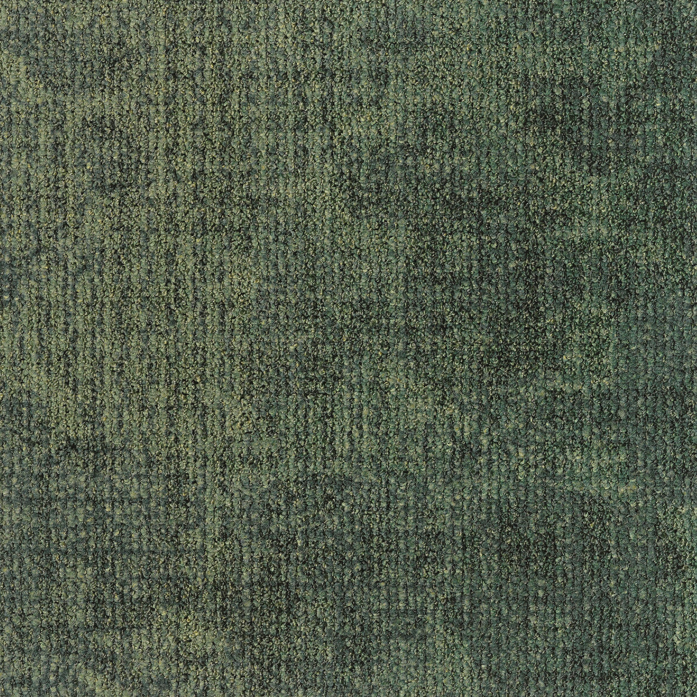 ReForm Transition Mix Leaf fresh green/green 5500