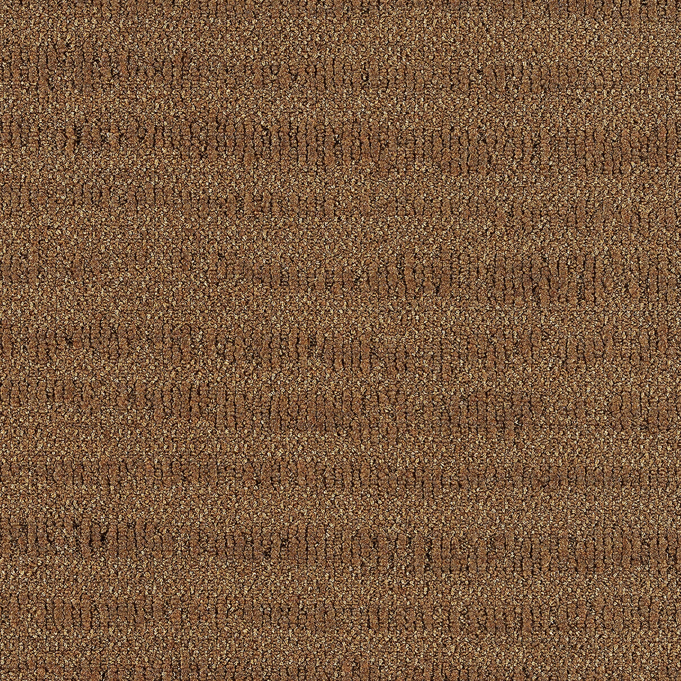 ReForm A New Wave Grass rust