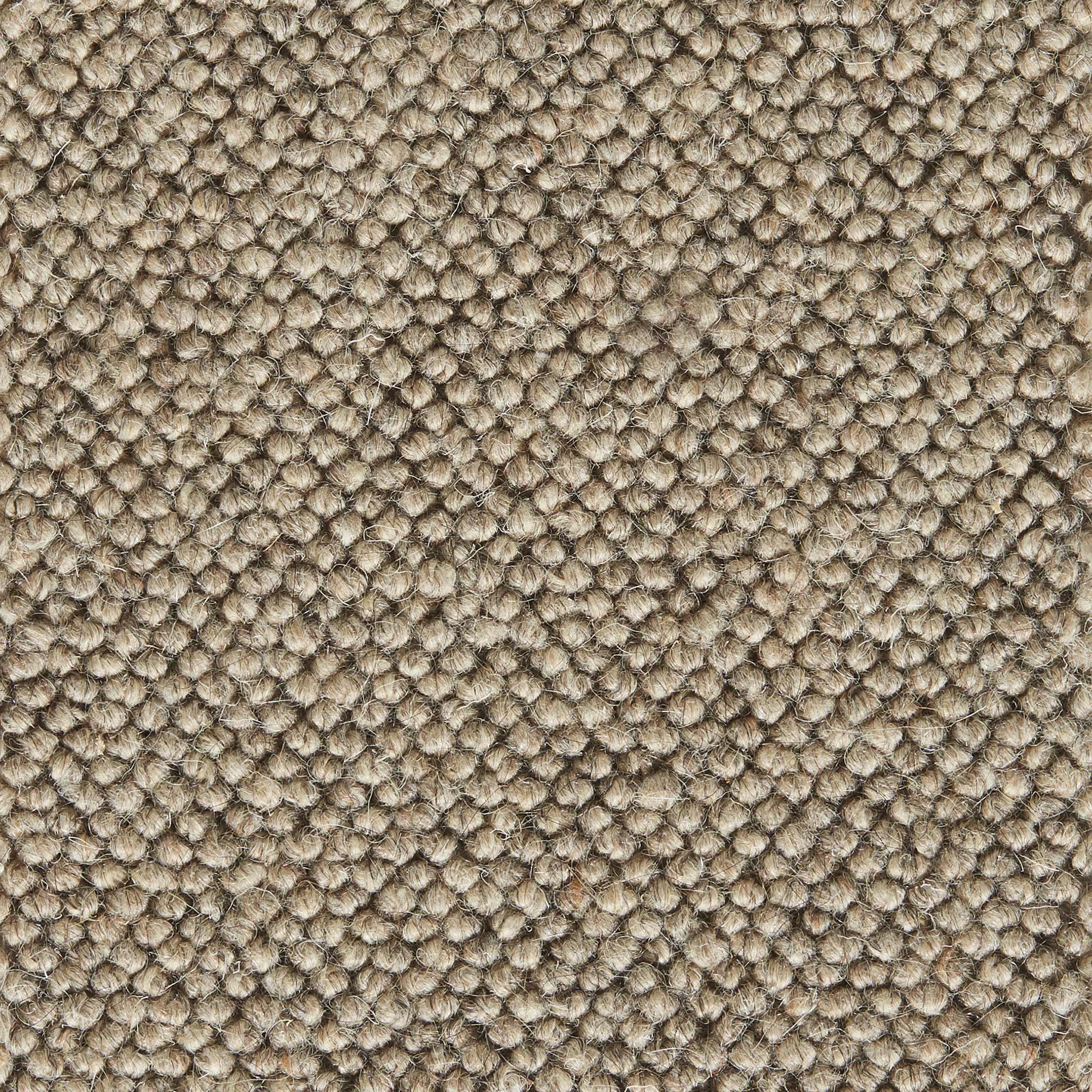 Majestic  dark beige